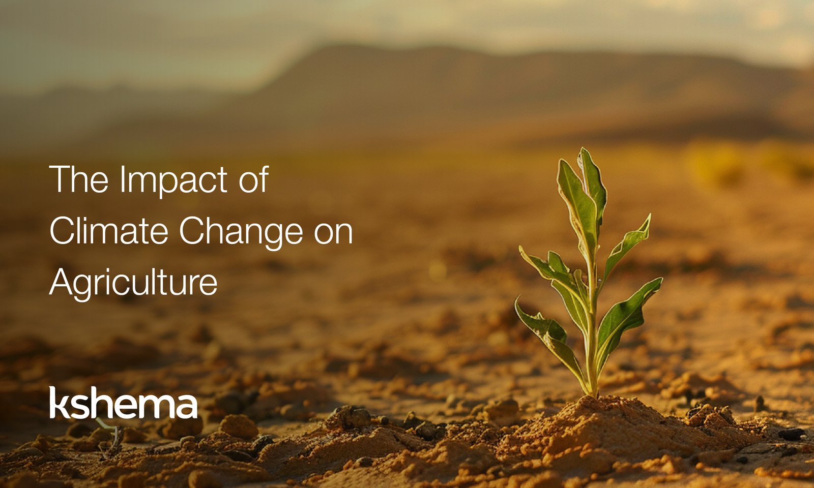 impact of climate change on agriculture, impact of climate change on farming