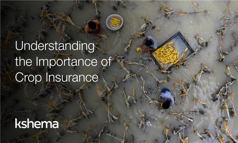 importance of crop insurance, crop insurance in India, benefits of crop insurance, importance of agricultural insurance, crop insurance schemes India, agricultural insurance in India, crop insurance for farmers, crop insurance and climate change, crop insurance Karnataka, sustainable farming insurance