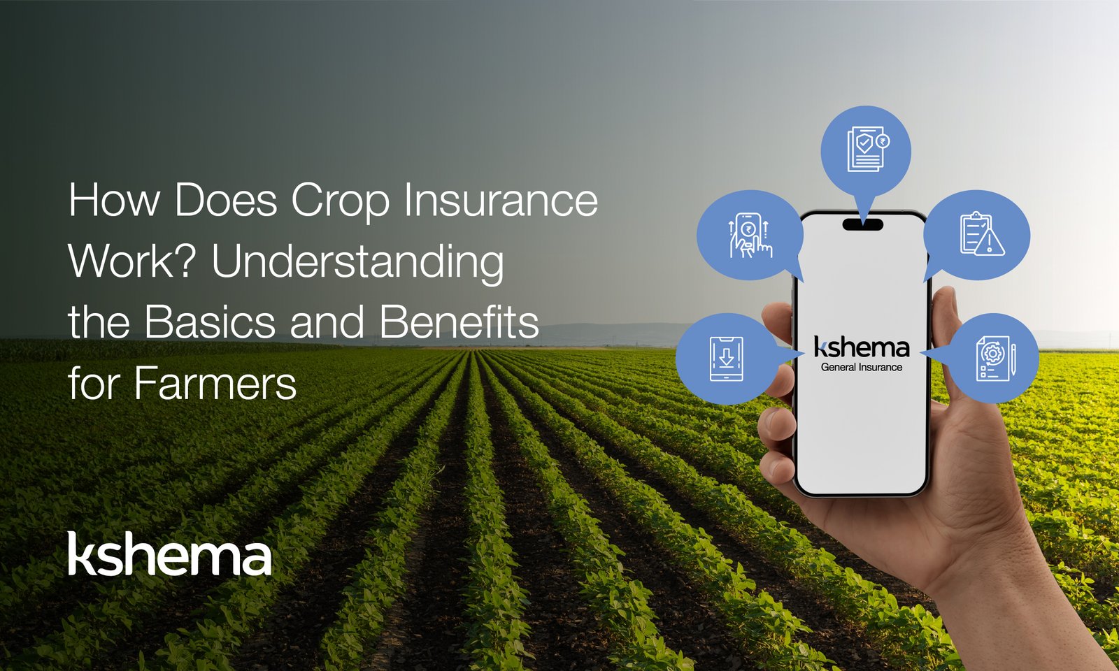 How Does Crop Insurance Work, Crop Insurance , An infographic showing the steps and benefits of crop insurance for Indian farmers, under the Kshema policy framework, Crop insurance, agriculture insurance,