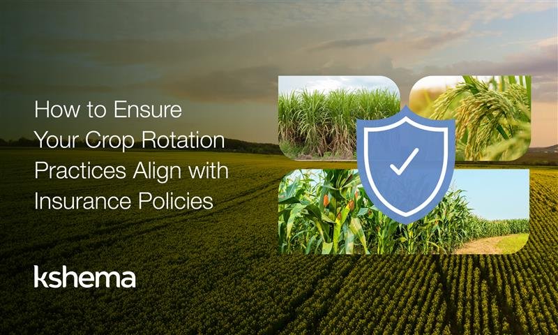crop rotation, crop rotation in India, crop rotation examples in India, example of crop rotation in India, crop rotation meaning in Kannada, rotation of crops is essential for, crop rotation techniques, benefits of crop rotation, sustainable farming India, crop rotation and insurance