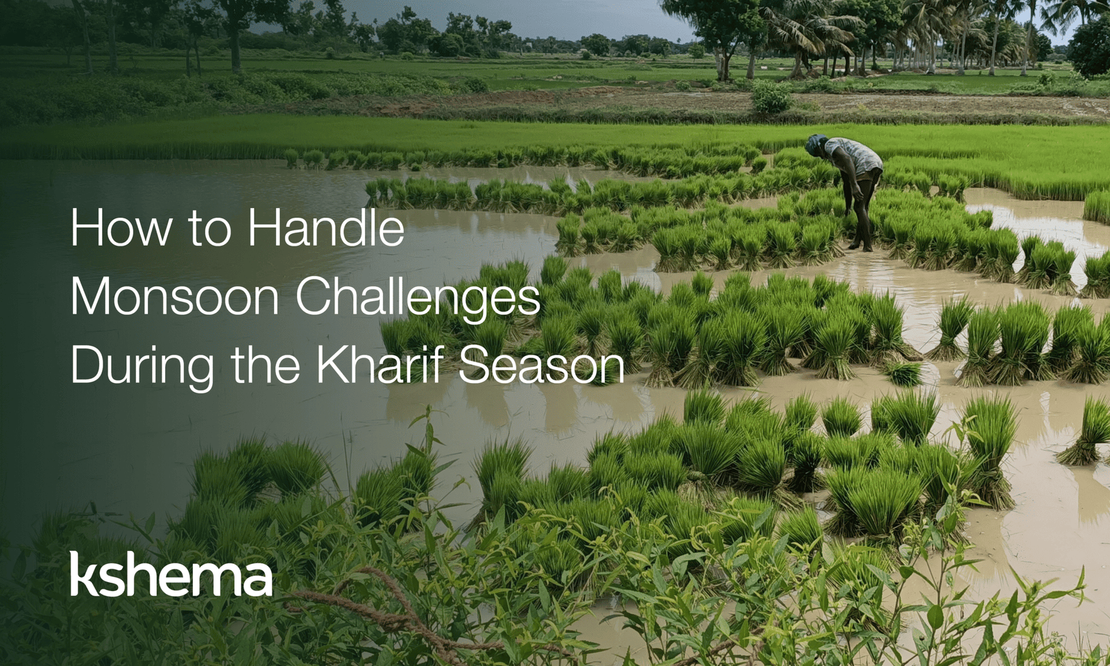 How to Handle Monsoon Challenges During the Kharif Season, kharif season, Digital Agriculture , smart farming,kharif season, monsoon farming, kharif crops, sowing time, crop insurance, farming in India, monsoon agriculture, agricultural challenges, waterlogging solutions, pest management