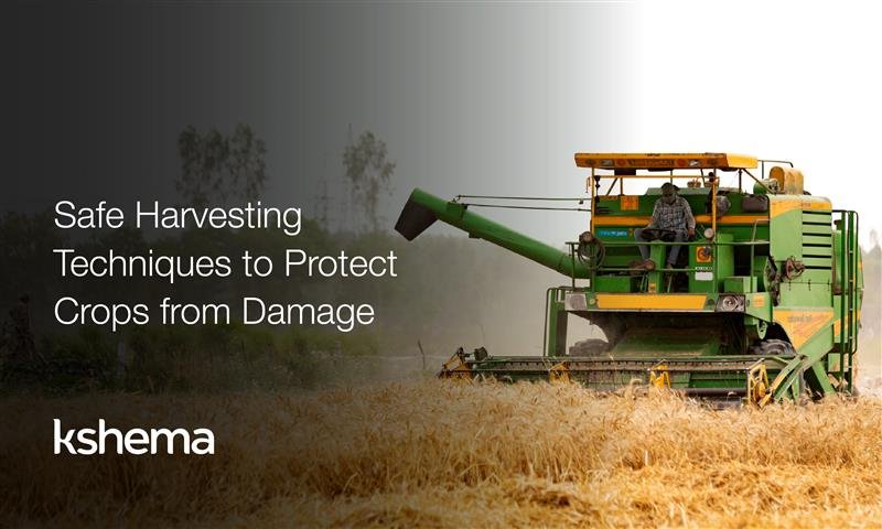 Harvesting Techniques, harvesting methods, harvesting in agriculture, crop harvesting techniques, safe harvesting practices, farmer harvesting, harvest crops efficiently, traditional methods of harvesting crops, good harvesting practices, protect crops