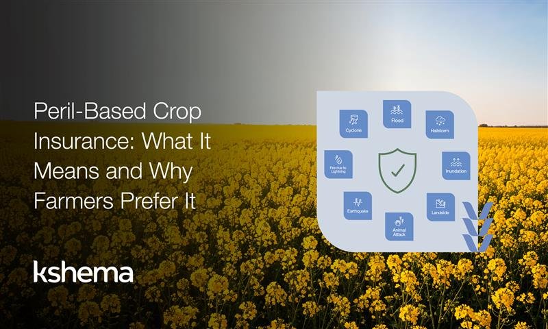 peril-based crop insurance, crop insurance India, Rabi crop protection, Kshema Sukriti, Kshema Prakriti, PMFBY, RWBCIS, weather index insurance, yield-based insurance, farm risk management, insurance for farmers, Rabi season farming, agricultural insurance schemes, Telangana farmers, hailstorm insurance, flood insurance for crops