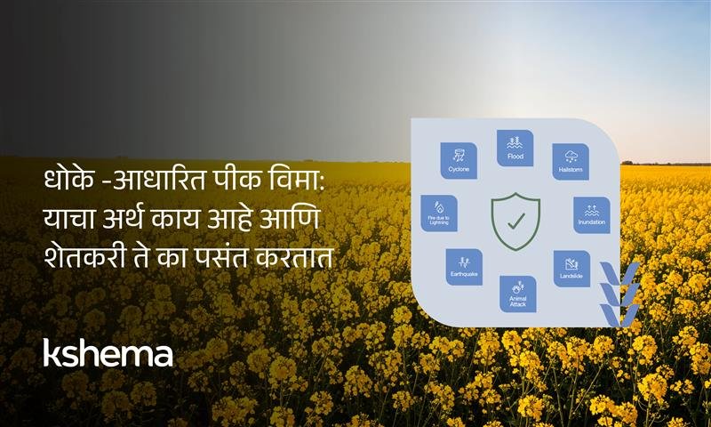 धोके-आधारित पीक विमा रब्बी शेतकऱ्यांसाठी किफायतशीर आणि सानुकूलित संरक्षण देतो