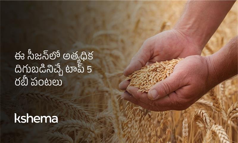రబీ పంటలు, రబీ సీజన్‌లో గోధుమ, ఆవాలు, మసూర్, బార్లీ, సెనగలు—విత్తన కాలం, MSP ప్రయోజనాలు మరియు అధిక దిగుబడి చిట్కాలు