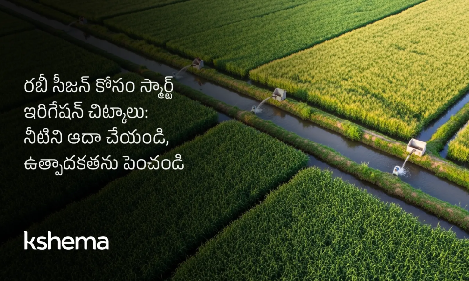 స్మార్ట్ ఇరిగేషన్ చిట్కాలు ,రబీ సీజన్‌లో స్మార్ట్ ఇరిగేషన్ వ్యవస్థతో పంటలకు నీరు అందిస్తున్న రైతు