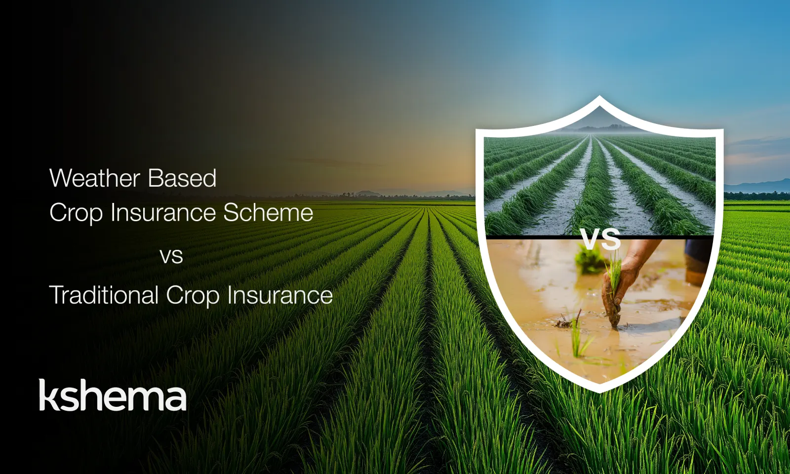Weather Based Crop Insurance,Weather based crop insurance scheme compared with traditional crop insurance for farmers